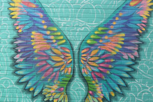 A mural featuring colourfully feathered wings spread upward on a blue-green background.