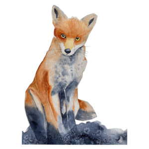 A Watercolour Painting Of A Fox. The Fox Is Sitting, Staring At The Viewer With Bright Gold Eyes.
