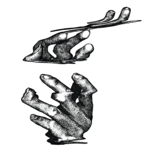An Illustration Of A Visually Warped Hand Rendered With Ink In Black Stipples.